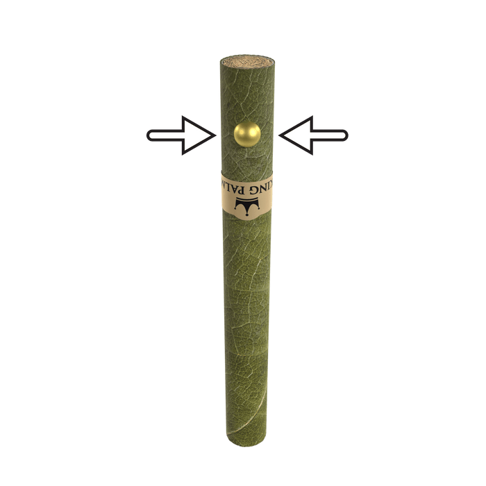 King Palm - 2 Mini Rolls (Fruit Passion)